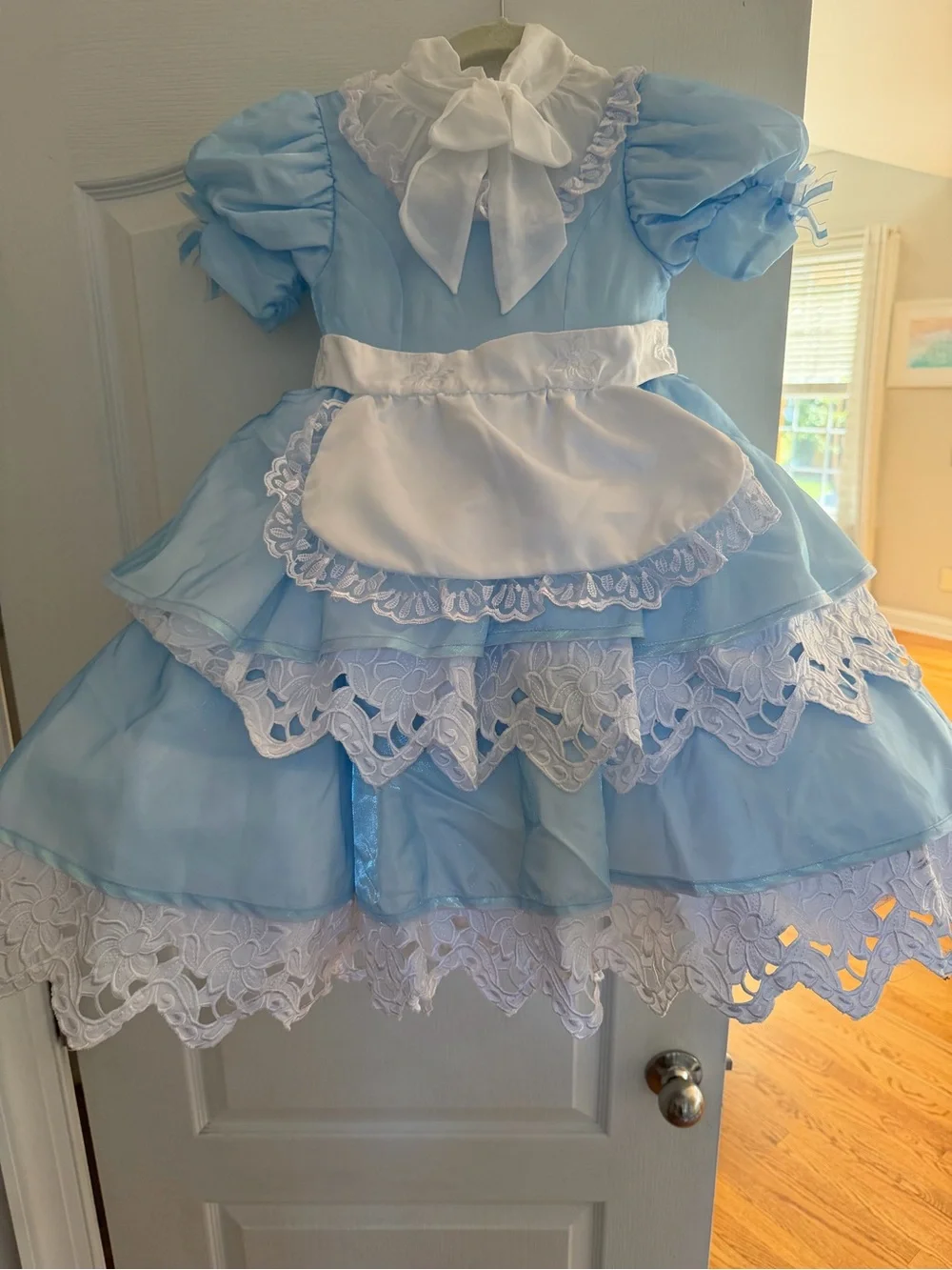 Alice in Wonderland Dress Girl Size 6 Disney Chasing Fireflies $55